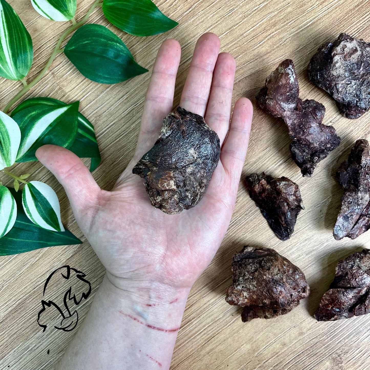NATUREXTRA - HÍGADOS DE POLLO LIOFILIZADOS PARA PERROS Y GATOS
