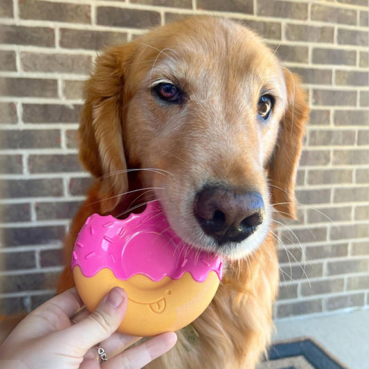 NYLABONE - MORDEDOR DONUT PARA PERROS