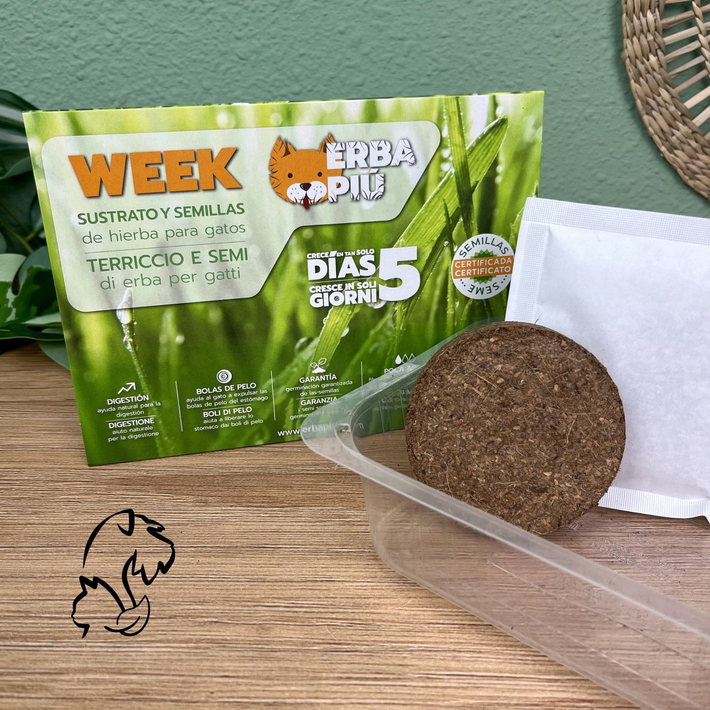 ERBA PIÚ - WEEK - HIERBA PARA GATOS