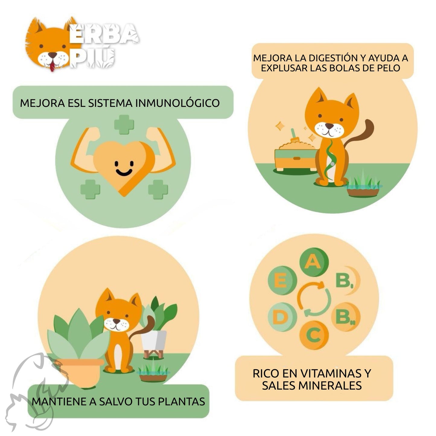 ERBA PIÚ - COCOCAT - HIERBA PARA GATOS