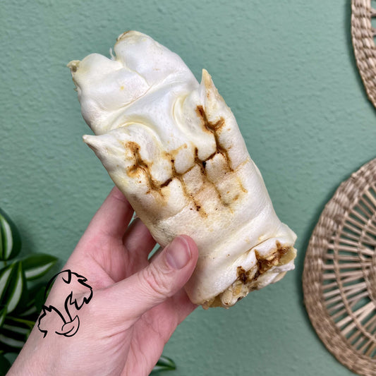 PATA DE CERDO PUFFED PARA PERROS