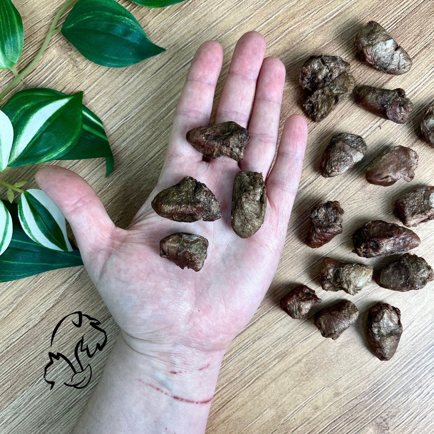NATUREXTRA - CORAZÓNES DE POLLO LIOFILIZADOS PARA PERROS Y GATOS