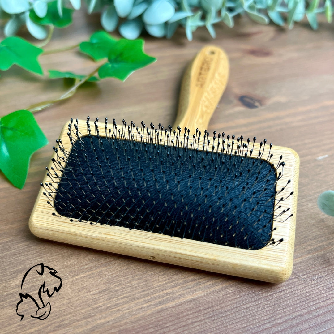 ARTERO - CARDA ROMEO PÚA PROTEGIDA PARA PERROS Y GATOS