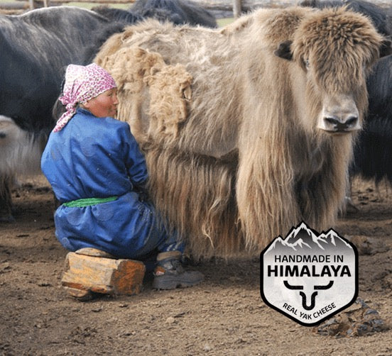CHURPI - BARRA DE LECHE DE YAK Y CEBÚ PARA PERROS