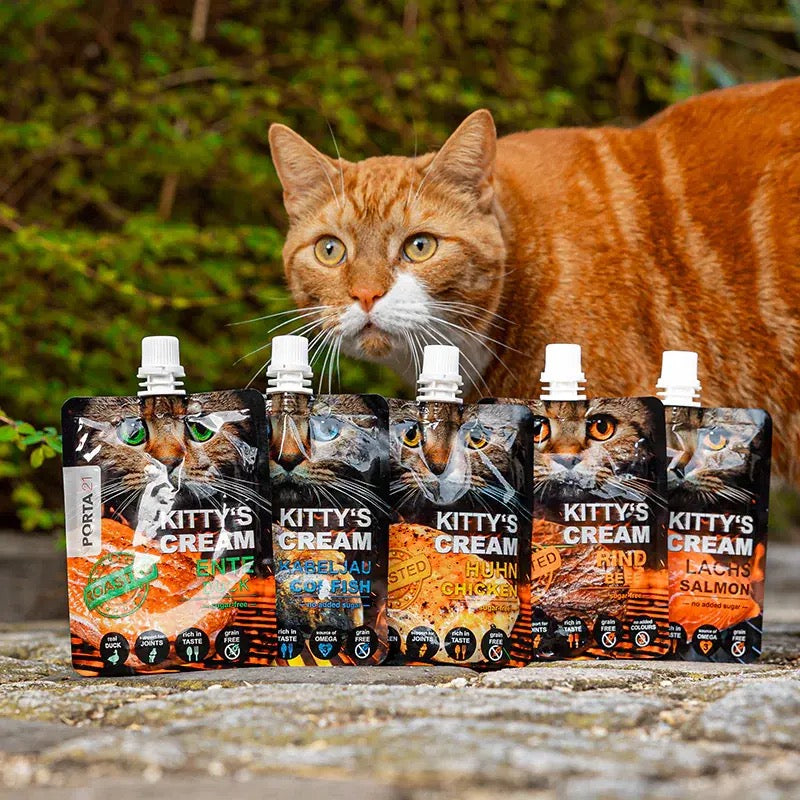 PORTA 21 - KITTY´S CREAM DE SALMÓN PARA GATOS