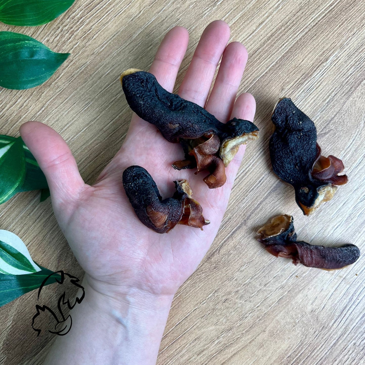 CABEZA DE PULPO PARA PERROS