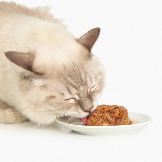 CATIT - DINNER PACK VARIEDADES DE POLLO PARA GATOS