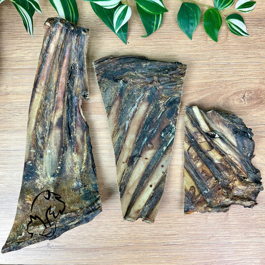 COSTILLA DE VENADO PARA PERROS