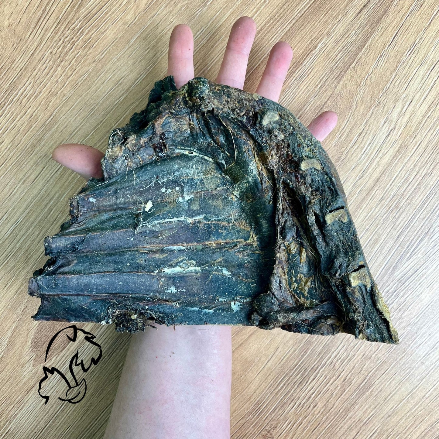 COSTILLA DE VENADO PARA PERROS