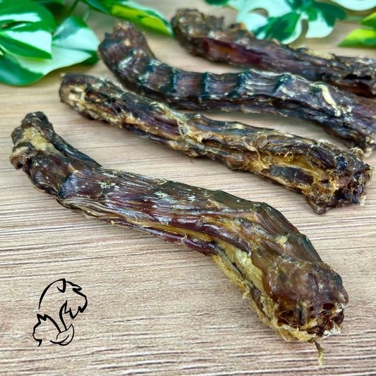 CUELLOS DE PATO PARA PERROS