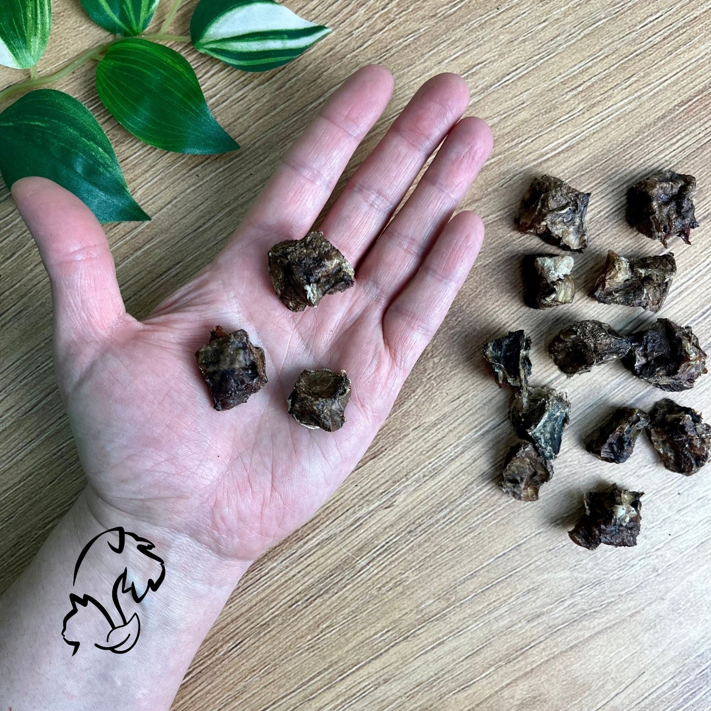 DADOS DE PULMÓN DE CORDERO PARA PERROS Y GATOS