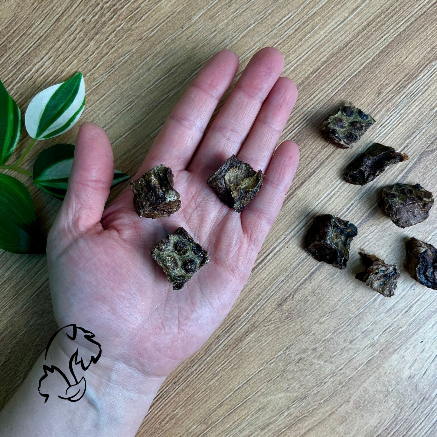 DADOS DE PULMÓN DE VACUNO PARA PERROS Y GATOS