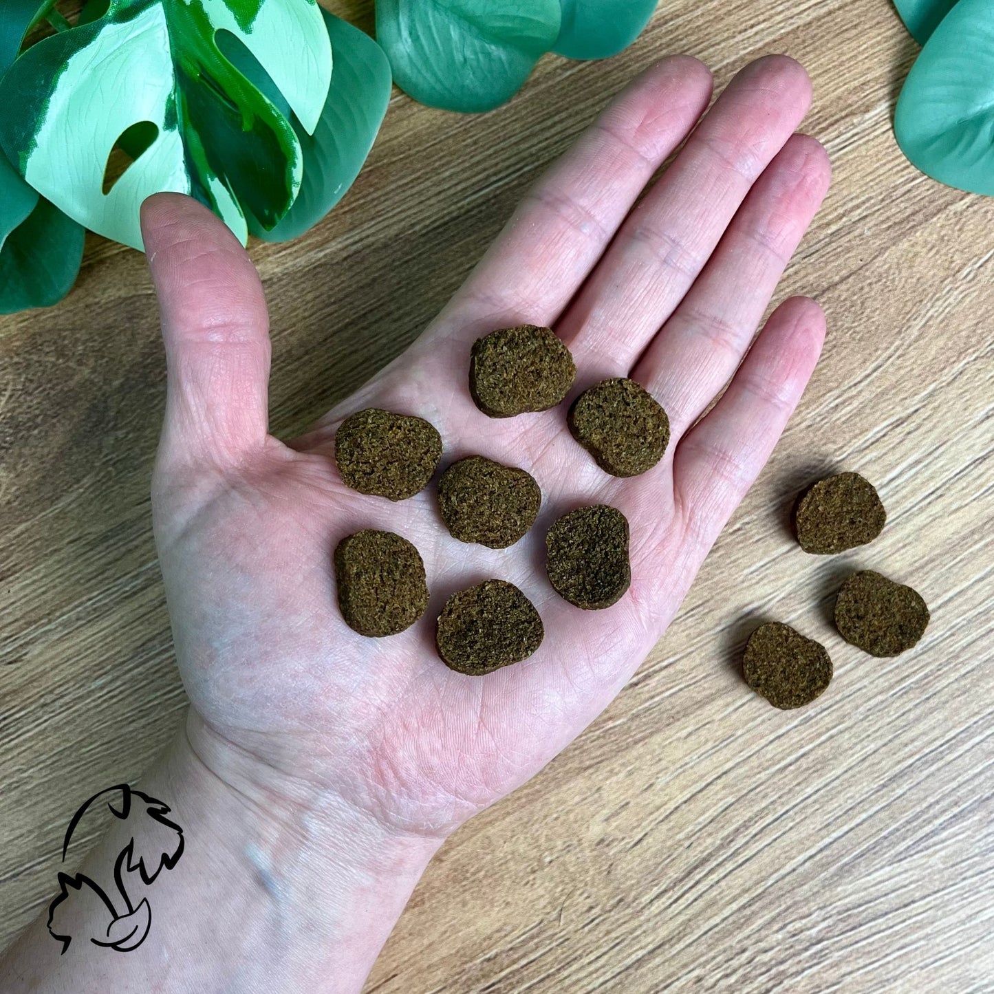 DINGONATURA - SNACKS MOMENTS DE POLLO Y FRUTA PARA PERROS