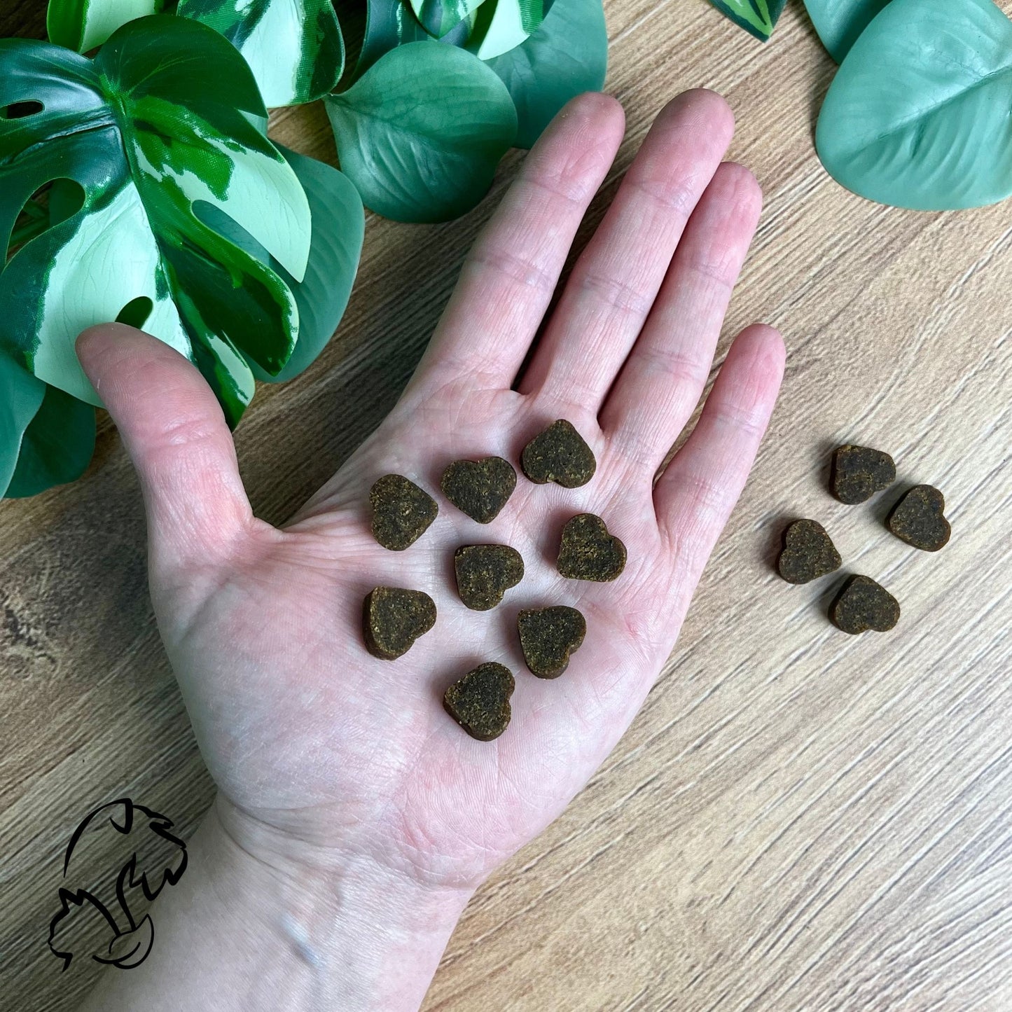 DINGONATURA - SNACKS MOMENTS PUPPY DE SALMÓN PARA PERROS