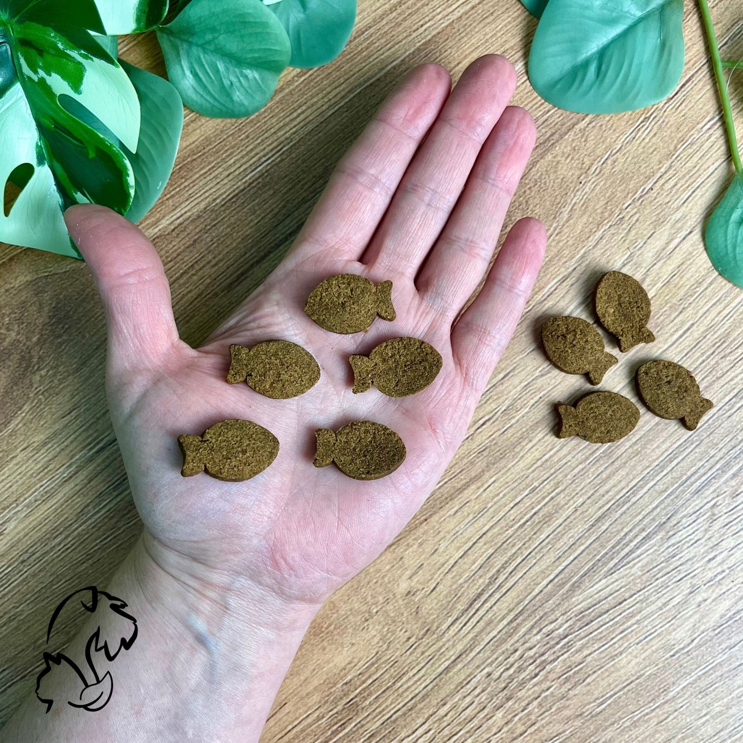 DINGONATURA - SNACKS MOMENTS DE SALMÓN PARA PERROS