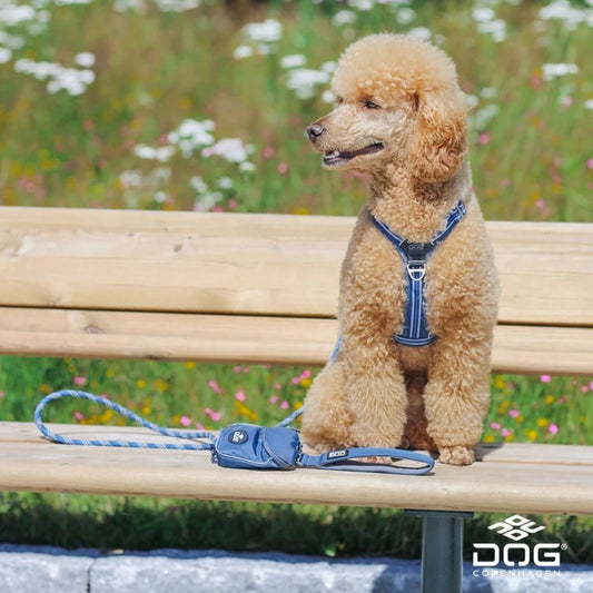 DOG COPENHAGEN - ARNÉS COMFORT WALK AIR V3 AZUL OCÉANO PARA PERROS