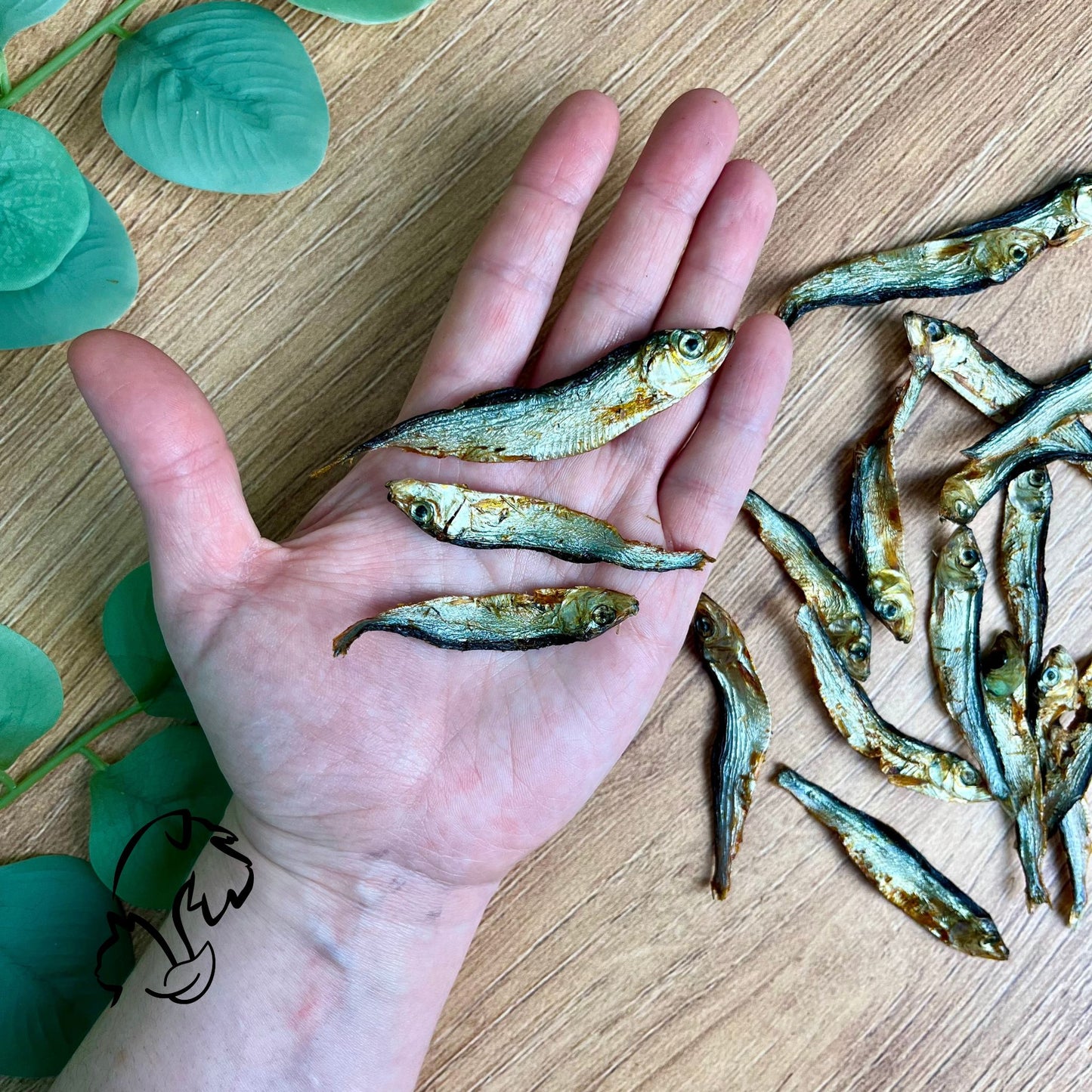 ESPADINES PARA PERROS Y GATOS