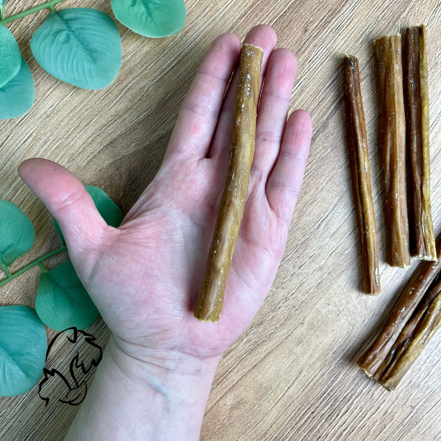 ESPAGUETIS DE BÚFALO PARA PERROS Y GATOS