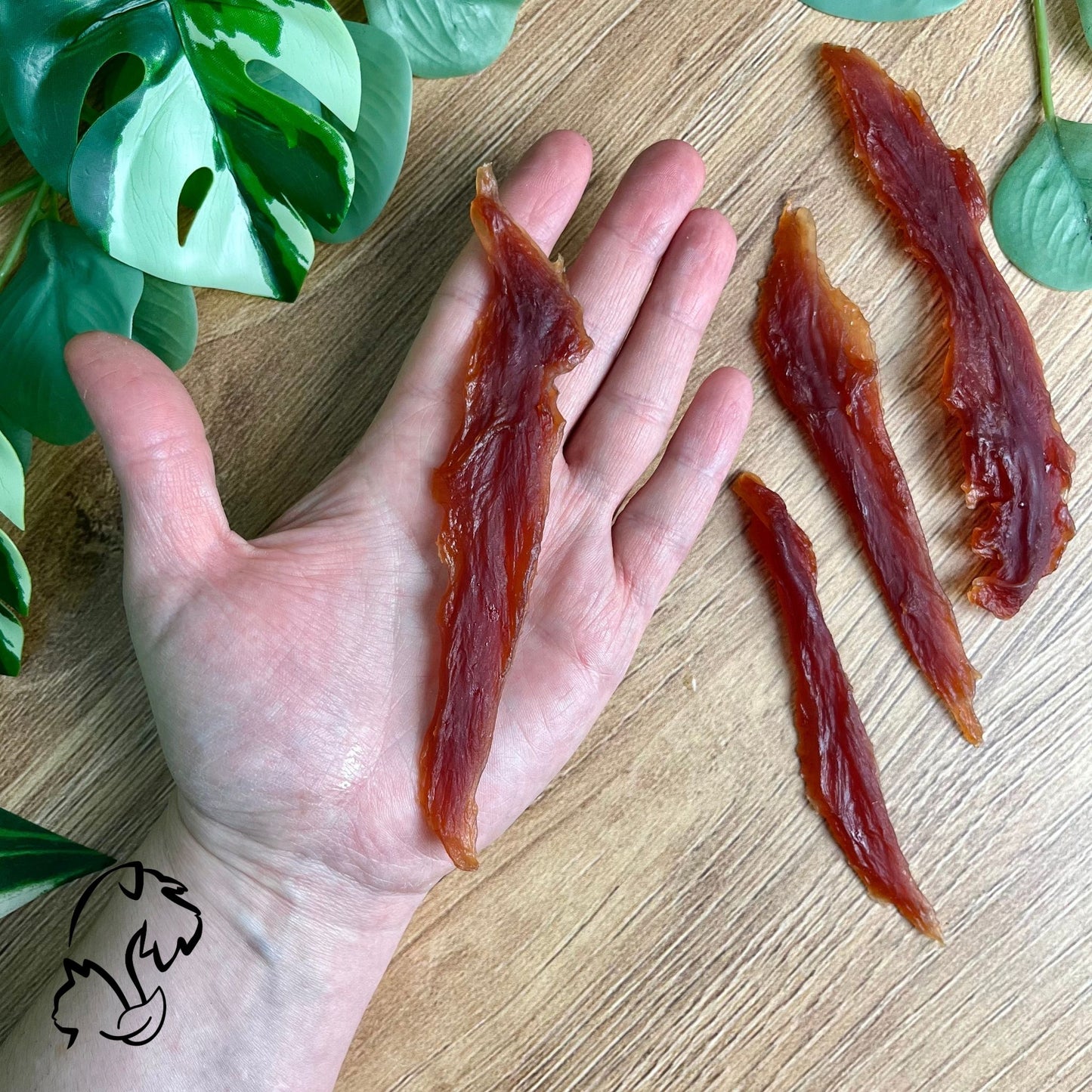 FILETES DE PATO PARA PERROS Y GATOS