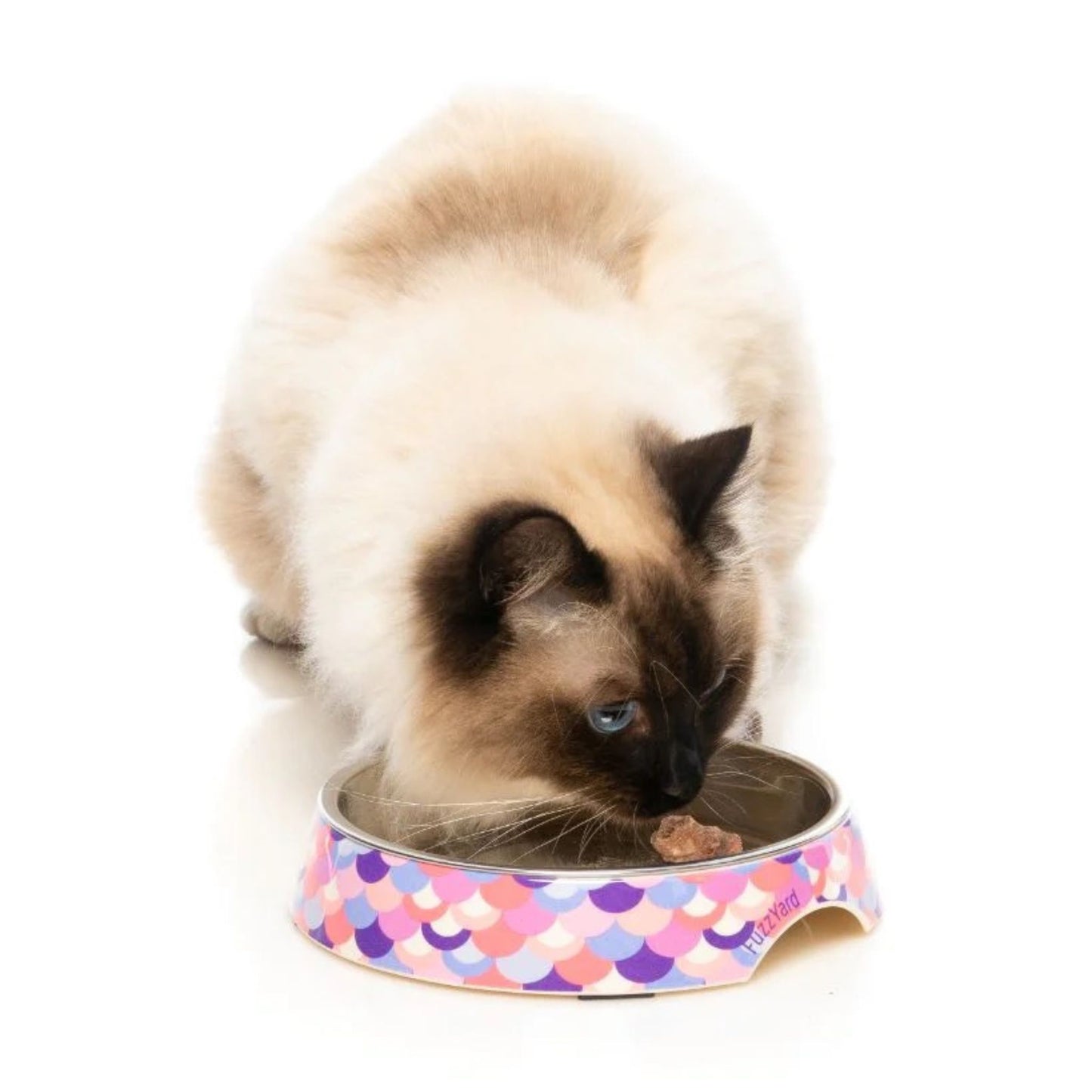 FUZZYARD - COMEDERO ATLANTIC PARA GATOS (Y PERROS)