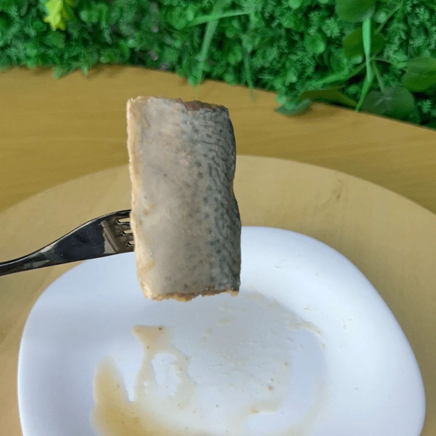 KIT CAT FILLETFRESH - FILETE DE CABALLA A LA PARRILLA PARA GATOS