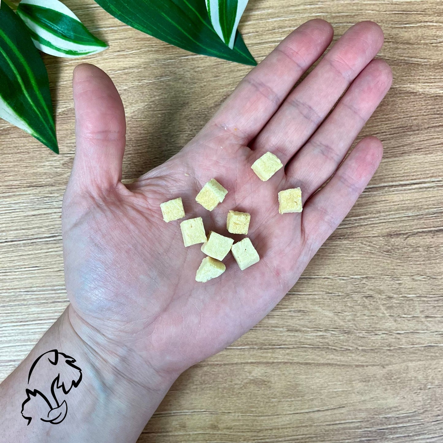 KIT CAT FREEZEBITE - PREMIOS LIOFILIZADOS DE POLLO PARA GATOS