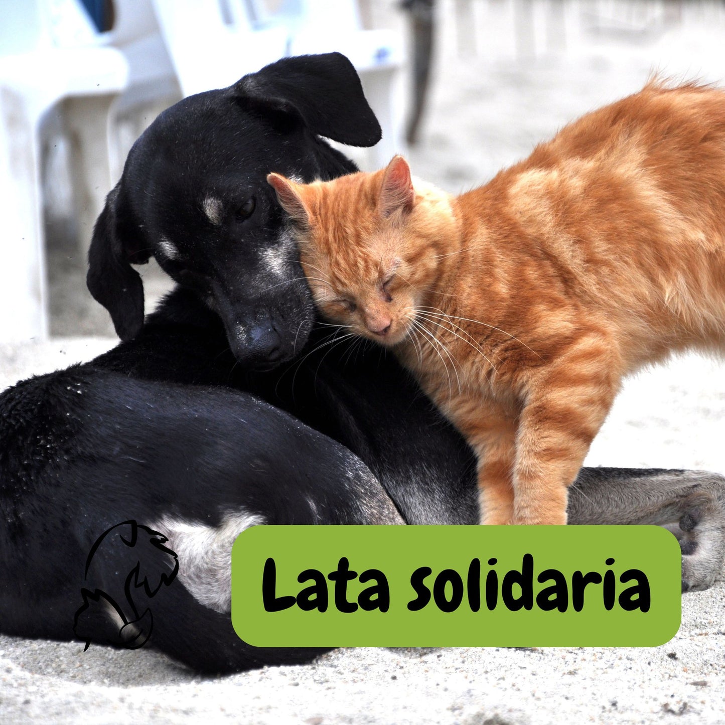 LATA SOLIDARIA PARA QUIEN MÁS LO NECESITE
