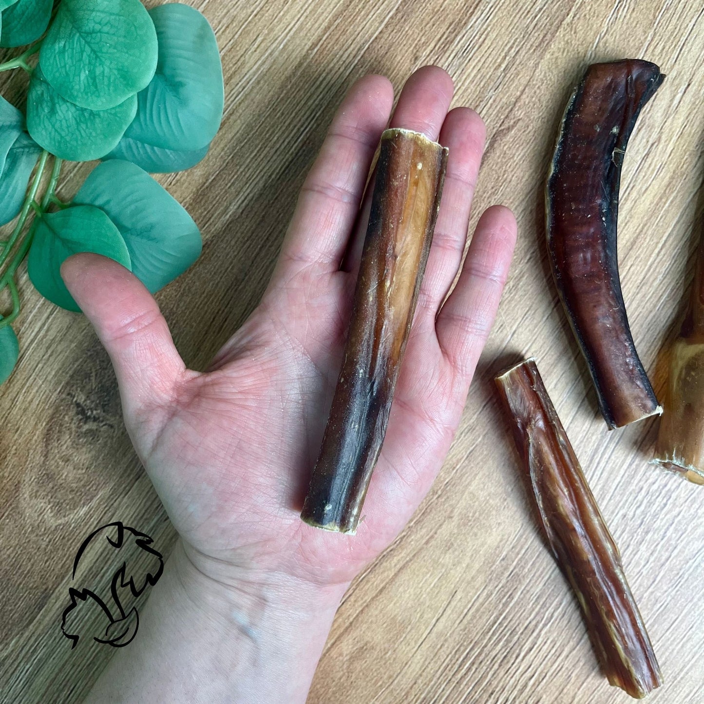 NERVIO DE VACUNO PARA PERROS