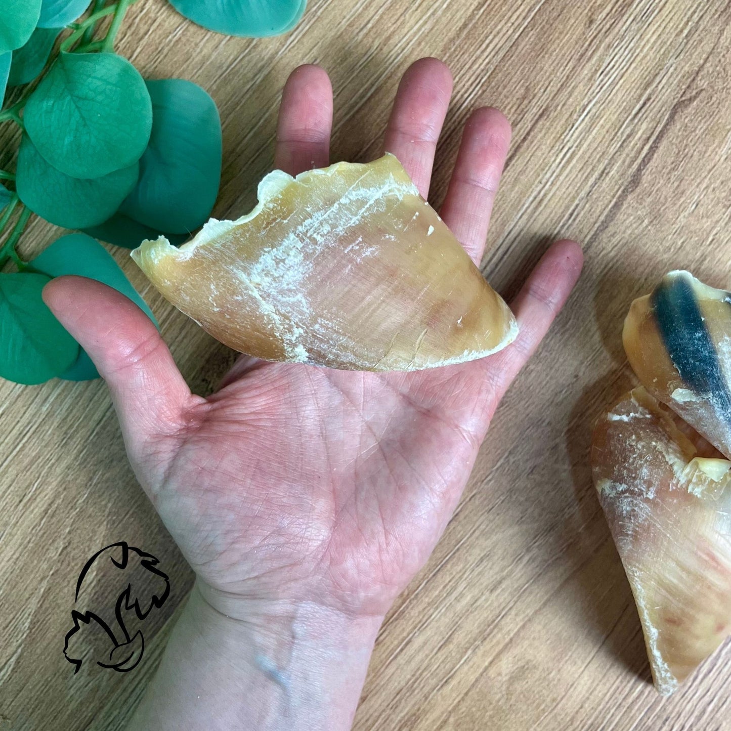 PEZUÑA DE VACUNO PARA PERRROS