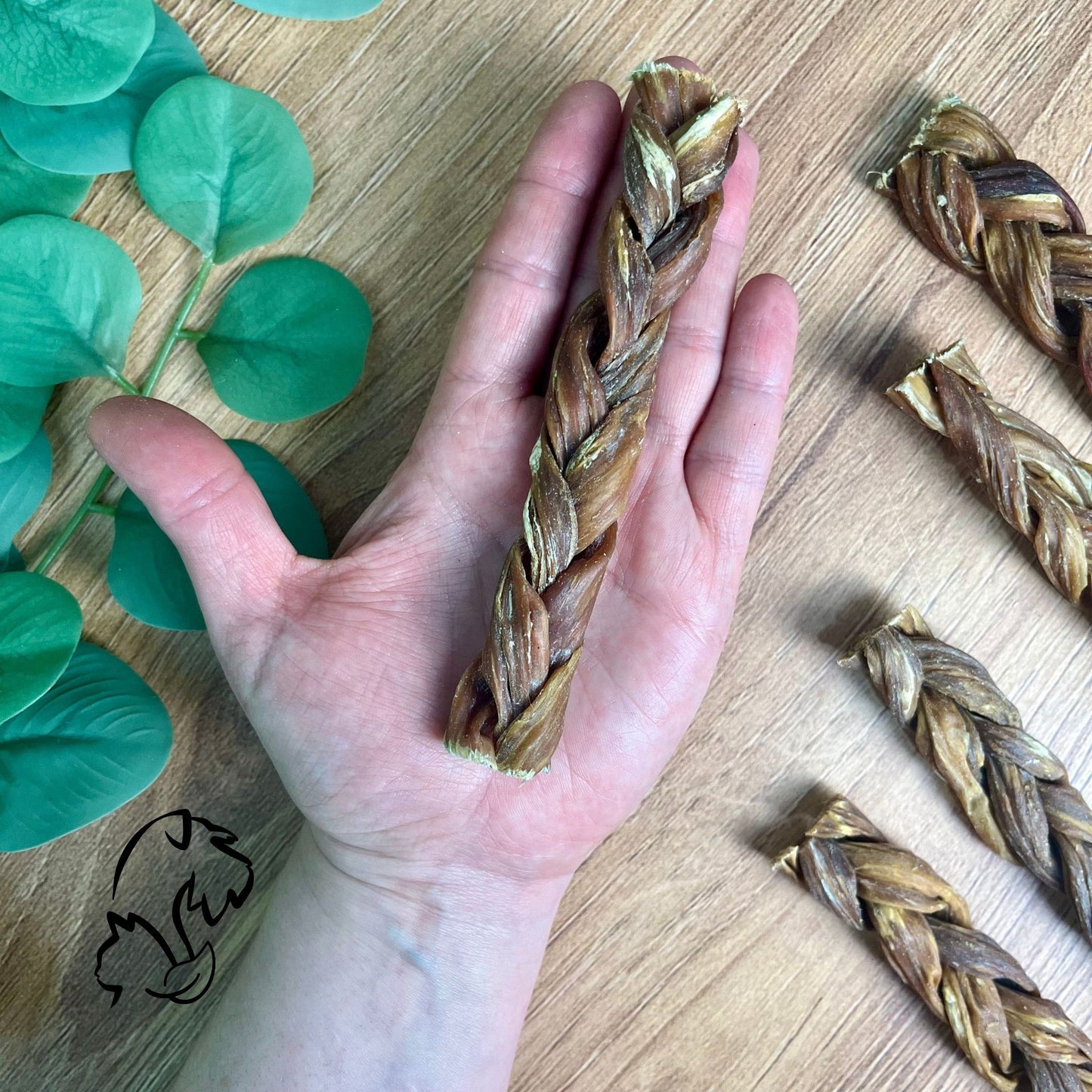 TRENZA DE CECINA DE VACUNO PARA PERROS