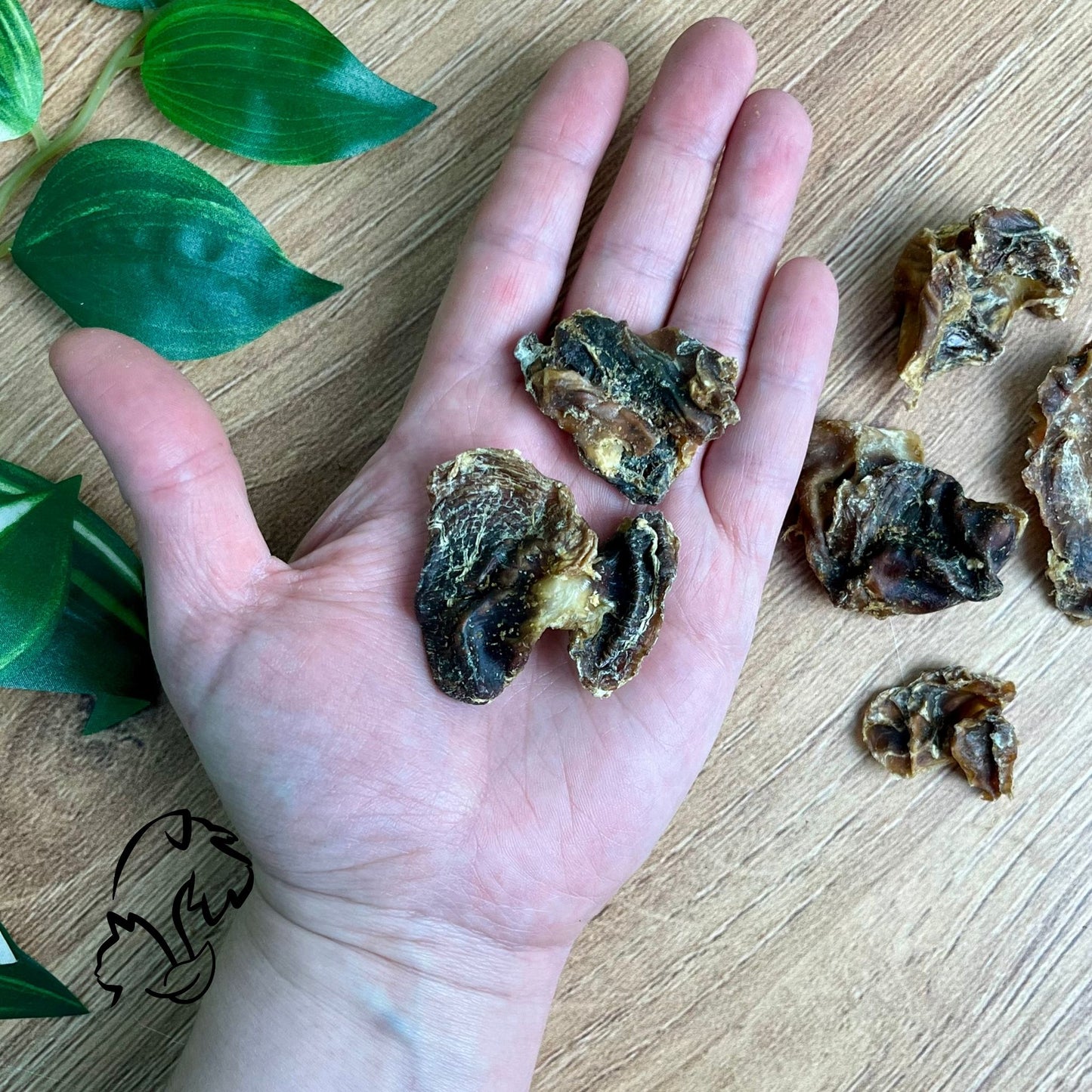 MOLLEJAS DE POLLO PARA PERROS