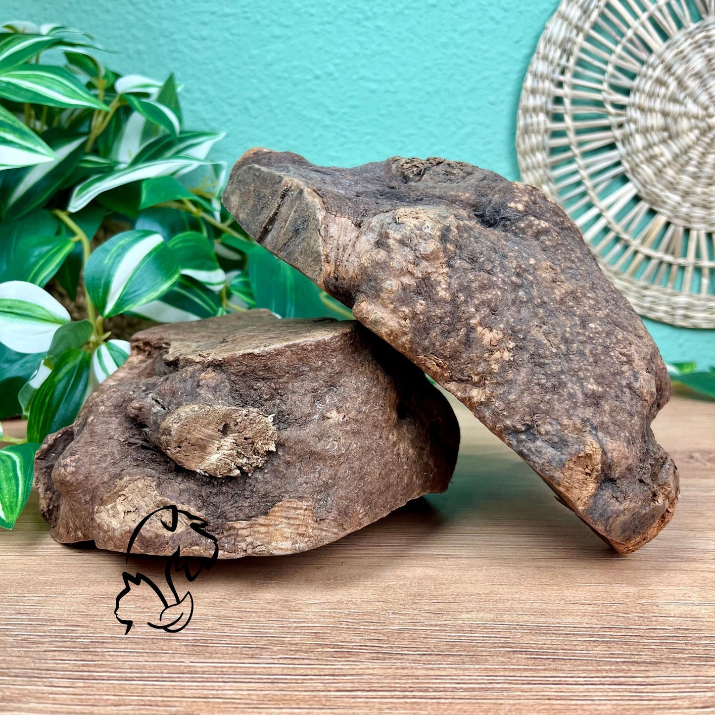 RAÍZ DE BREZO PARA PERROS