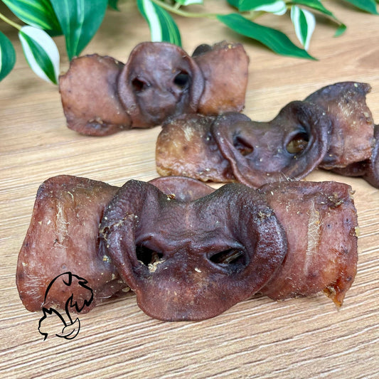 MORRO DE CERDO TOSTADO PARA PERROS