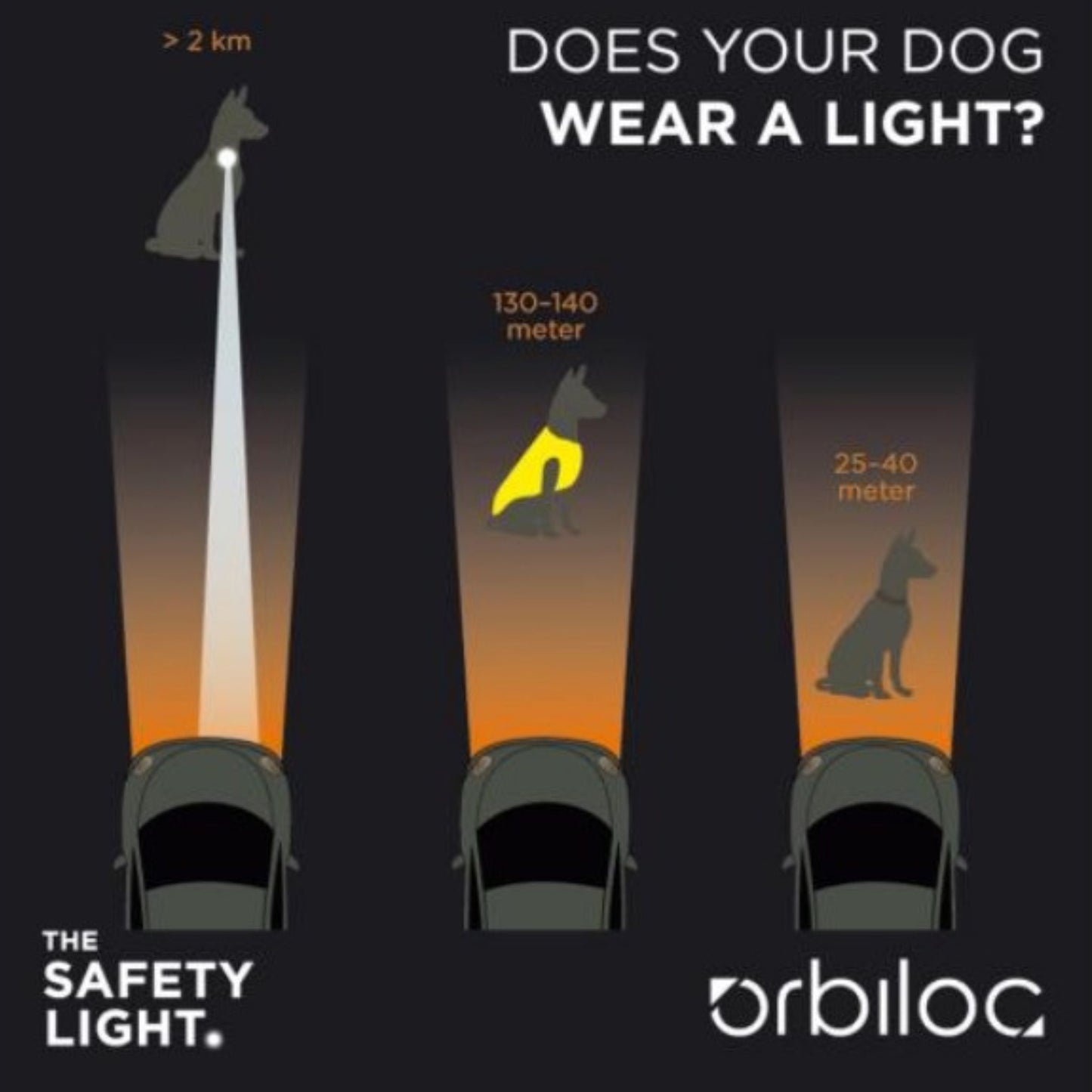 ORBILOC - DOG DUAL TURQUESA PARA PERROS