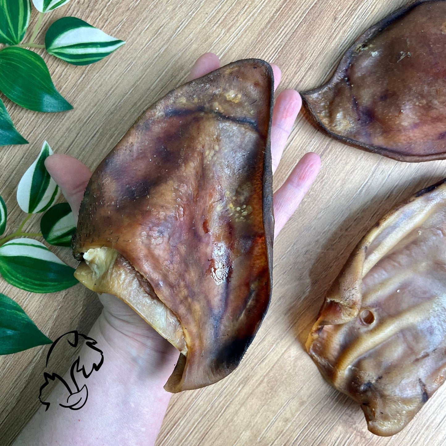 OREJA DE CERDO IBÉRICO PARA PERROS