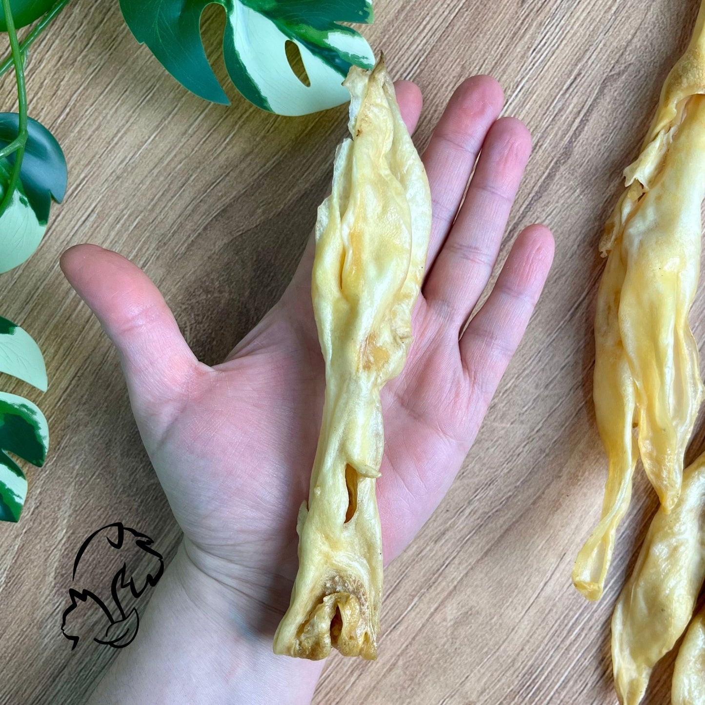 OREJAS DE CONEJO PARA PERROS Y GATOS