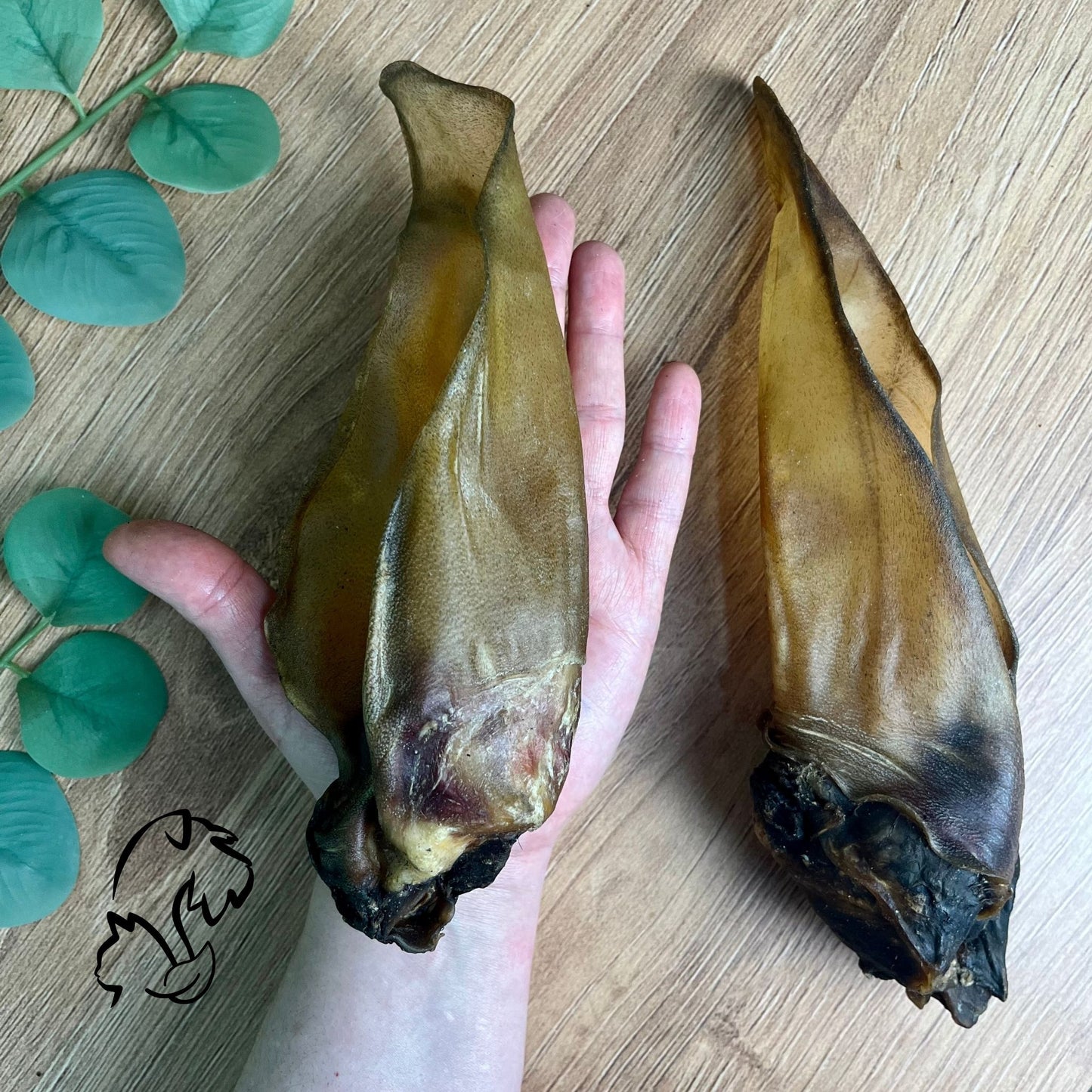 OREJA DE VACUNO CON OÍDO PARA PERROS