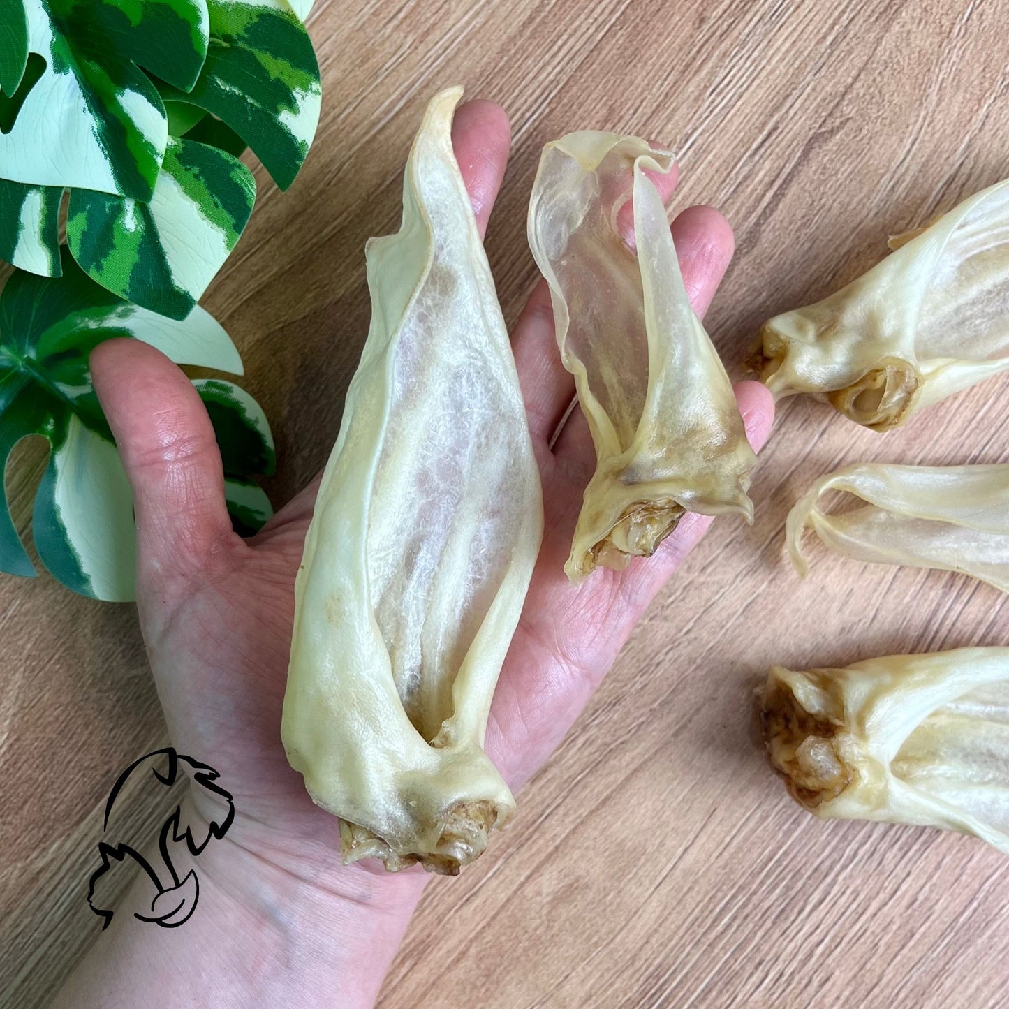 OREJAS DE CORDERO PARA PERROS