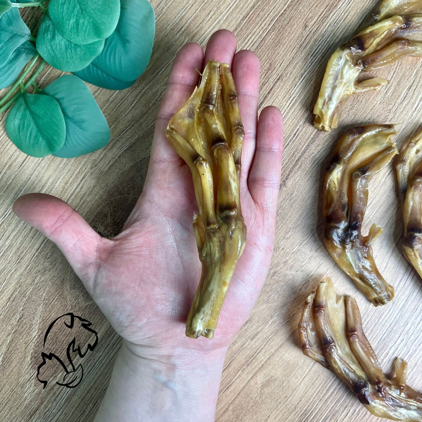 PATA DE PATO PARA PERROS Y GATOS