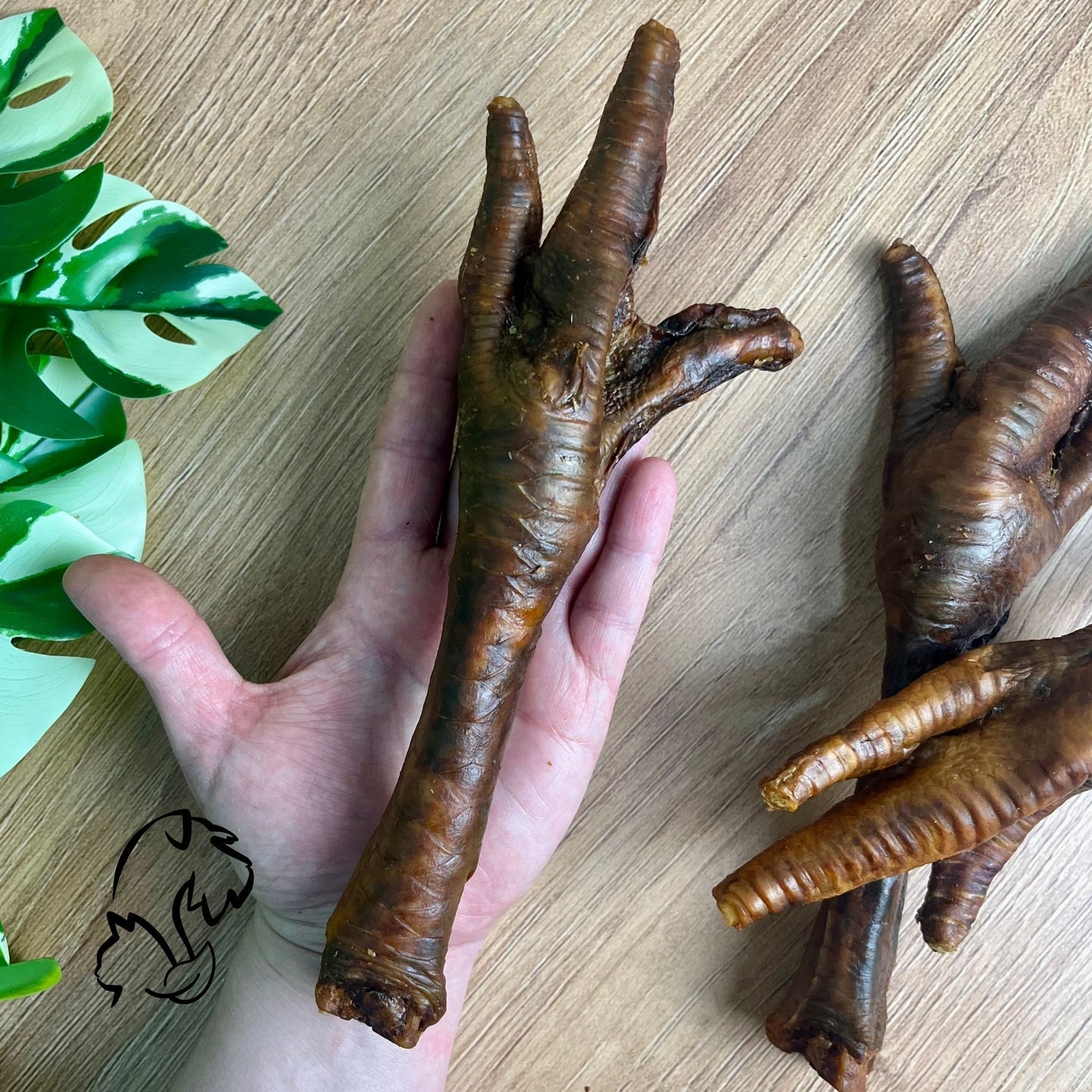 PATA DE PAVO PARA PERROS