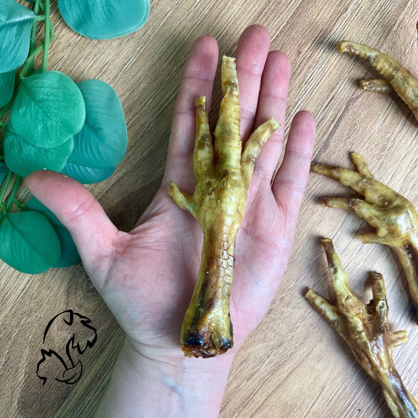 PATAS DE POLLO PARA PERROS Y GATOS