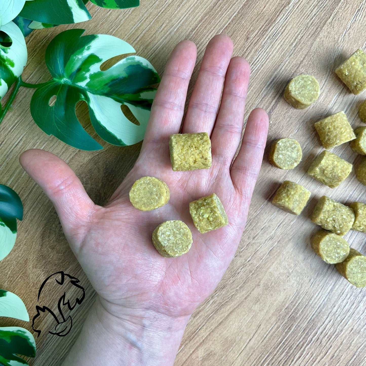PREMIOS VEGGIE PARA PERROS Y GATOS