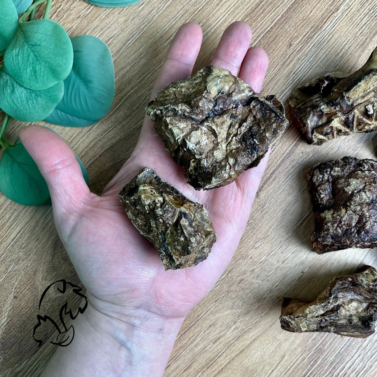 PULMÓN DE VACUNO PARA PERROS