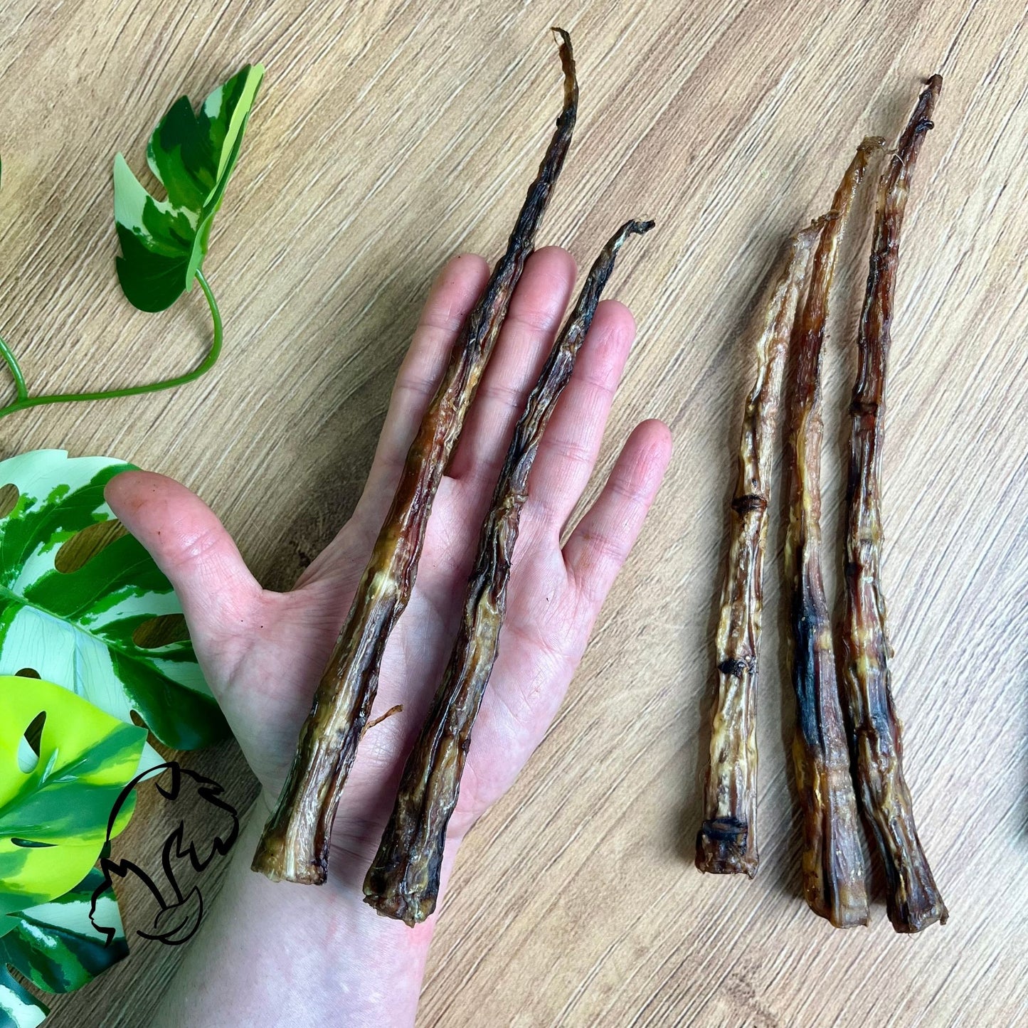 RABO DE VACUNO PARA PERROS