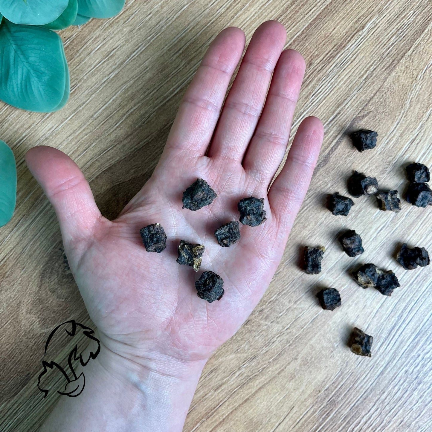 PREMIOS DE CIERVO PARA PERROS Y GATOS