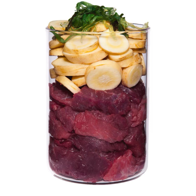 TERRA CANIS - LATA HYPOALLERGENIC DE AVESTRUZ PARA PERROS