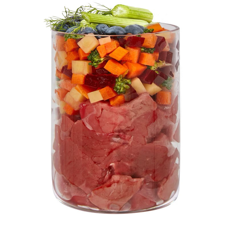 TERRA CANIS - LATA MARKT RAGOUT DE BUEY PARA PERROS