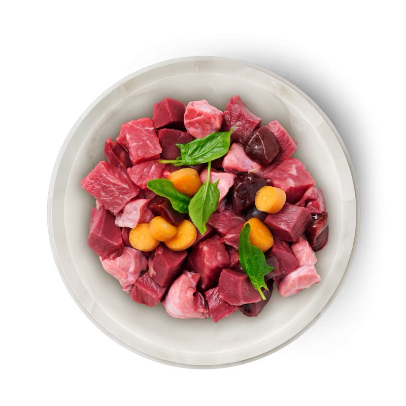 TERRA FELIS - LATA DE BUEY PARA GATOS