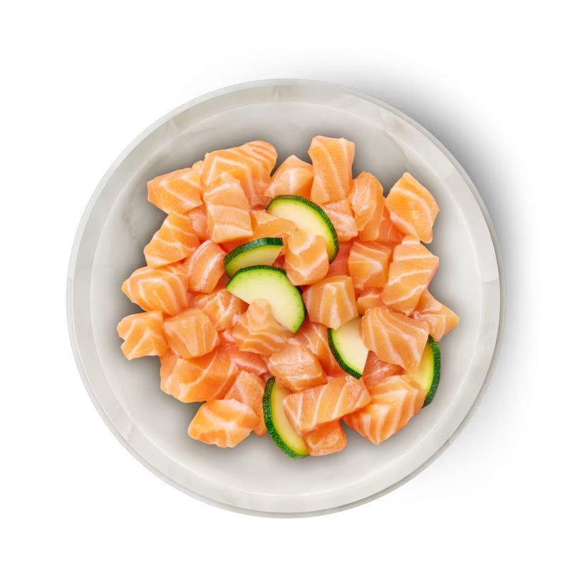 TERRA FELIS - LATA DE SALMÓN PARA GATOS