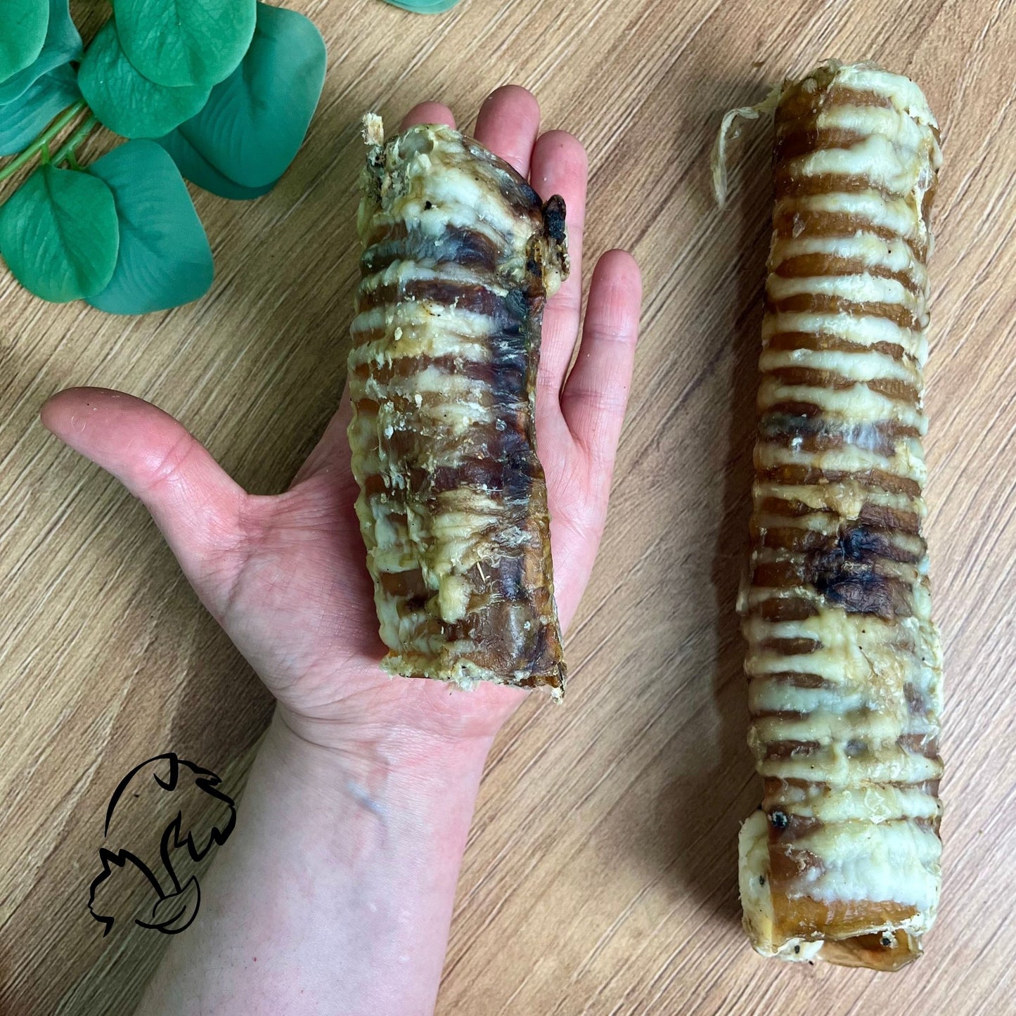 TRÁQUEA DE VACUNO PARA PERRROS